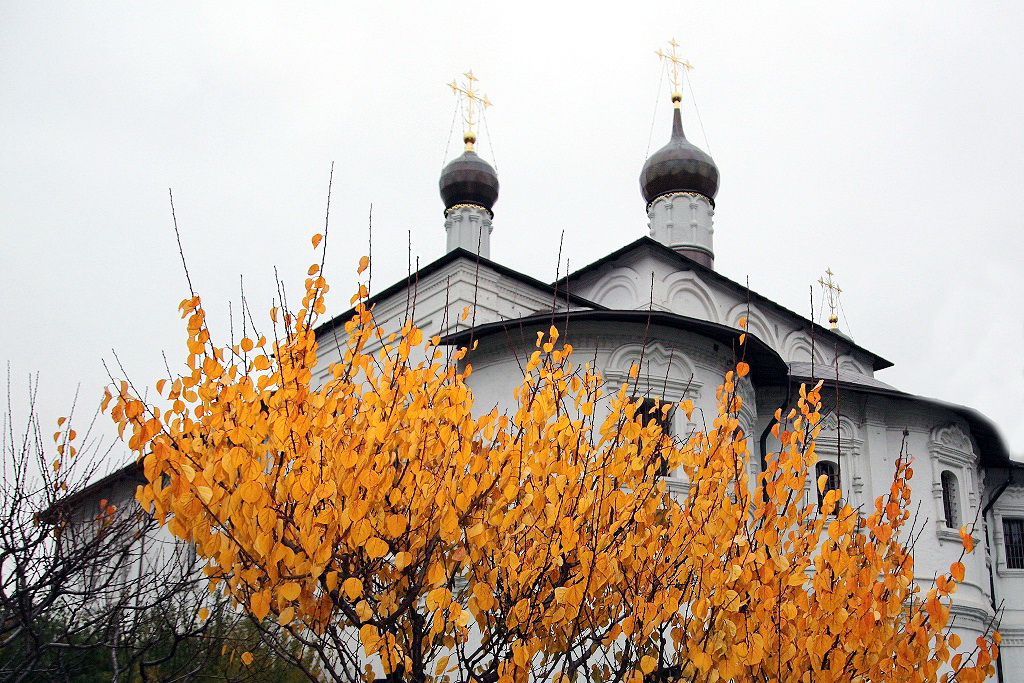 Покровский храм